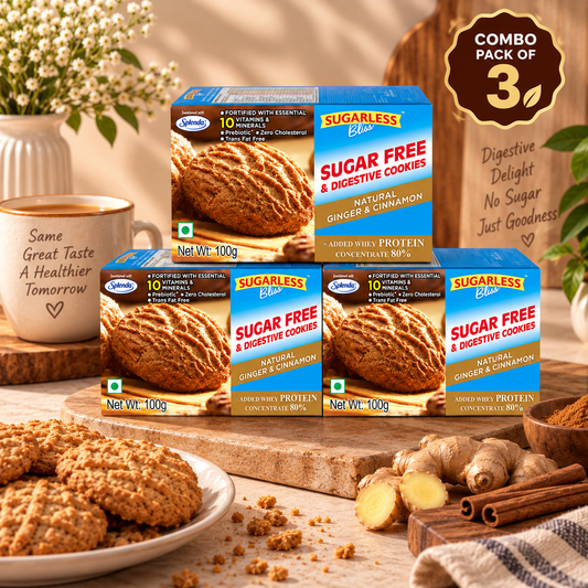 Sugar Free Ginger & Cinnamon Cookies - 100g - Pack of 3 - Diabetic Friendly | Sugarless Bliss
